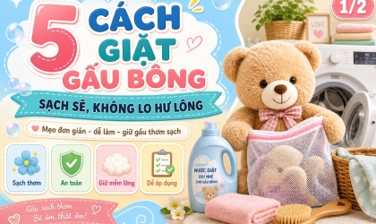 5 Cách Giặt Gấu Bông Sạch Sẽ, Không Lo Hư Lông